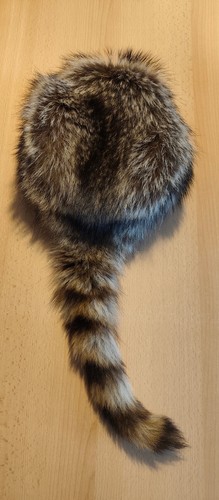 Waschbär pelz mütze - waschbär,