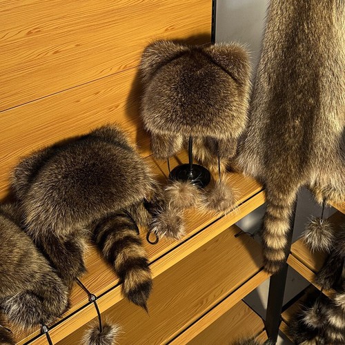 One raccoon fur hat - raccoon,