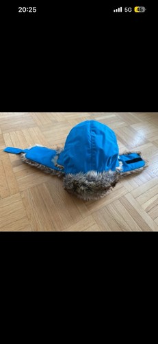 Isbjörn sweden - of,