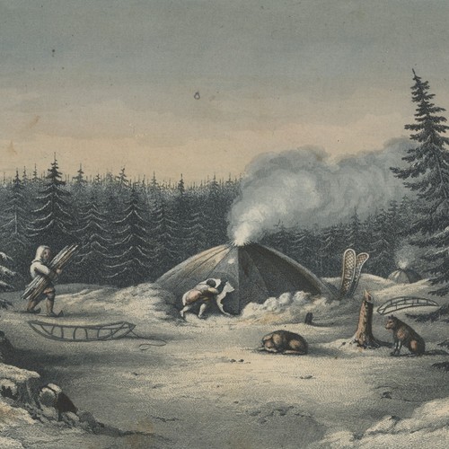 Trapper nordamerika - trapper,